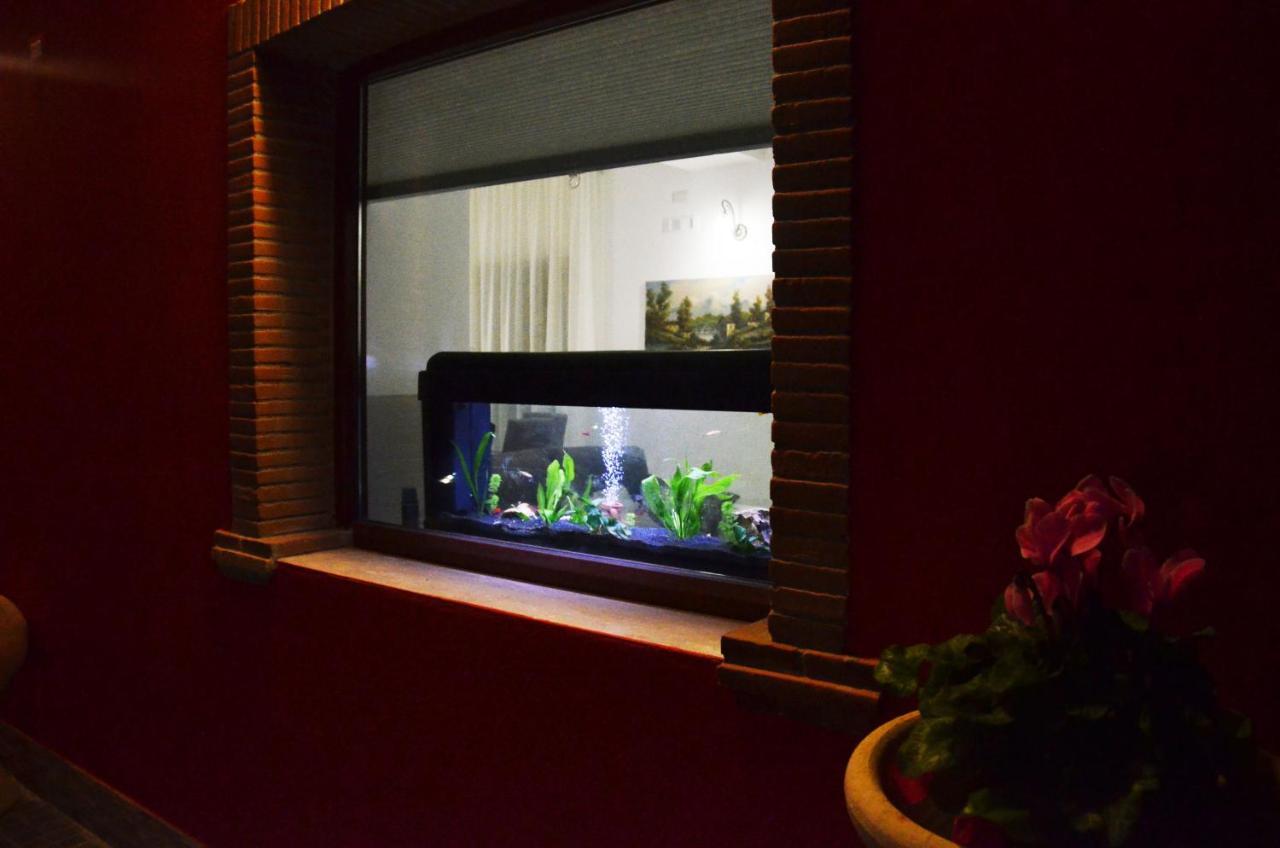 La Tana Delle Lepri Bed & Breakfast Morolo Dış mekan fotoğraf